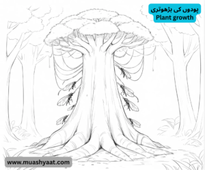 پودوں کی بڑھوتری