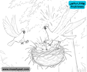 پھلدار درختوں