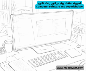 کمپیوٹر سافٹ ویئر اور کاپی رائٹ قانون