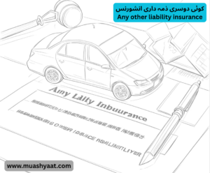 کوئی دوسری ذمہ داری انشورنس
