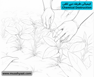 کیمیائی طریقہ سے تلفی