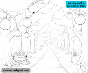ہر قسم کے درخت