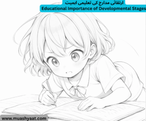  ارتقائی مدارج کی تعلیمی اہمیت