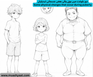 دور بلوغت میں ہونے والی بعض جسمانی تبدیلیاں