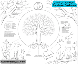 علم نفسیات کی شاخیں